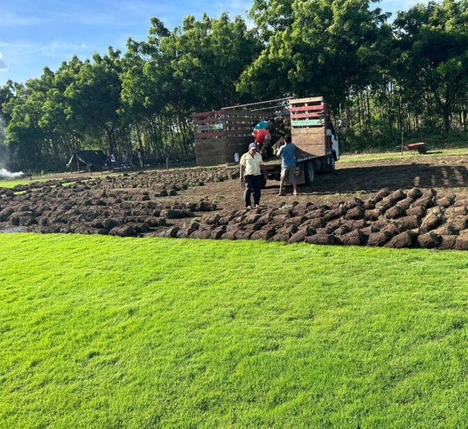 WhatsApp Image 2025-03-04 at 10.37.20 AM