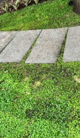 WhatsApp Image 2025-03-04 at 10.42.09 AM