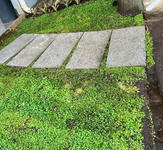 WhatsApp Image 2025-03-04 at 10.42.09 AM