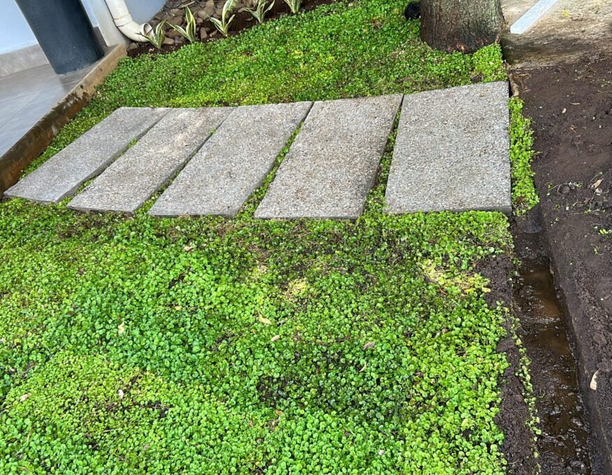 WhatsApp Image 2025-03-04 at 10.42.09 AM