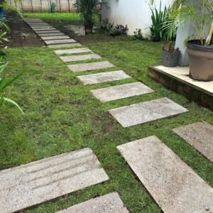 WhatsApp Image 2025-03-06 at 11.11.03 AM (1)