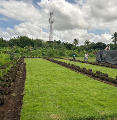 WhatsApp Image 2025-03-06 at 11.11.03 AM